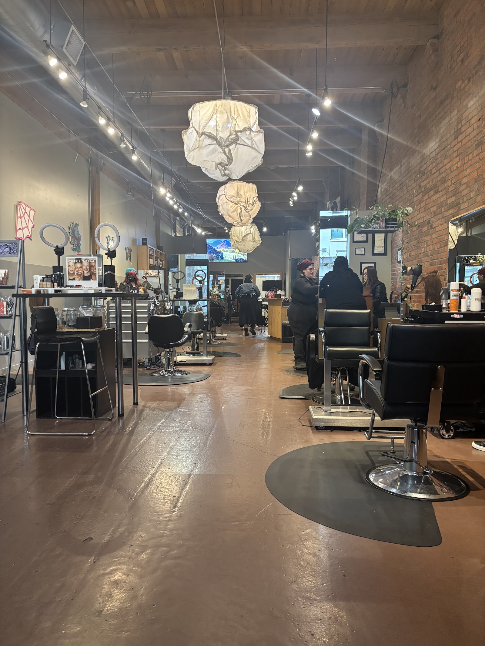 Cuts and styling at Vann Studio